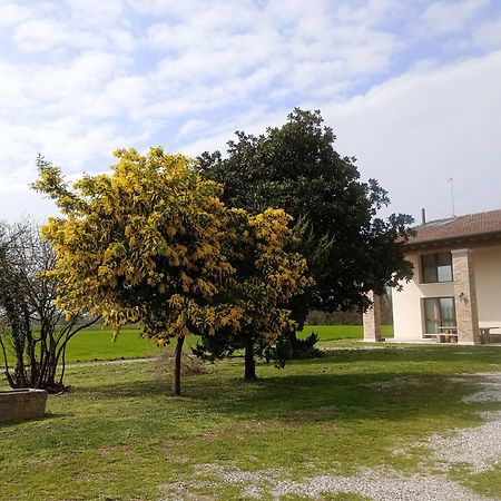 Agriturismo Trabucco Casale Sul Sile Esterno foto