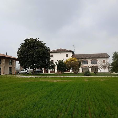 Agriturismo Trabucco Casale Sul Sile Esterno foto