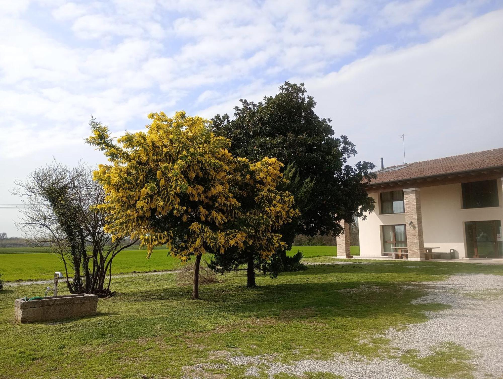 Agriturismo Trabucco Casale Sul Sile Esterno foto