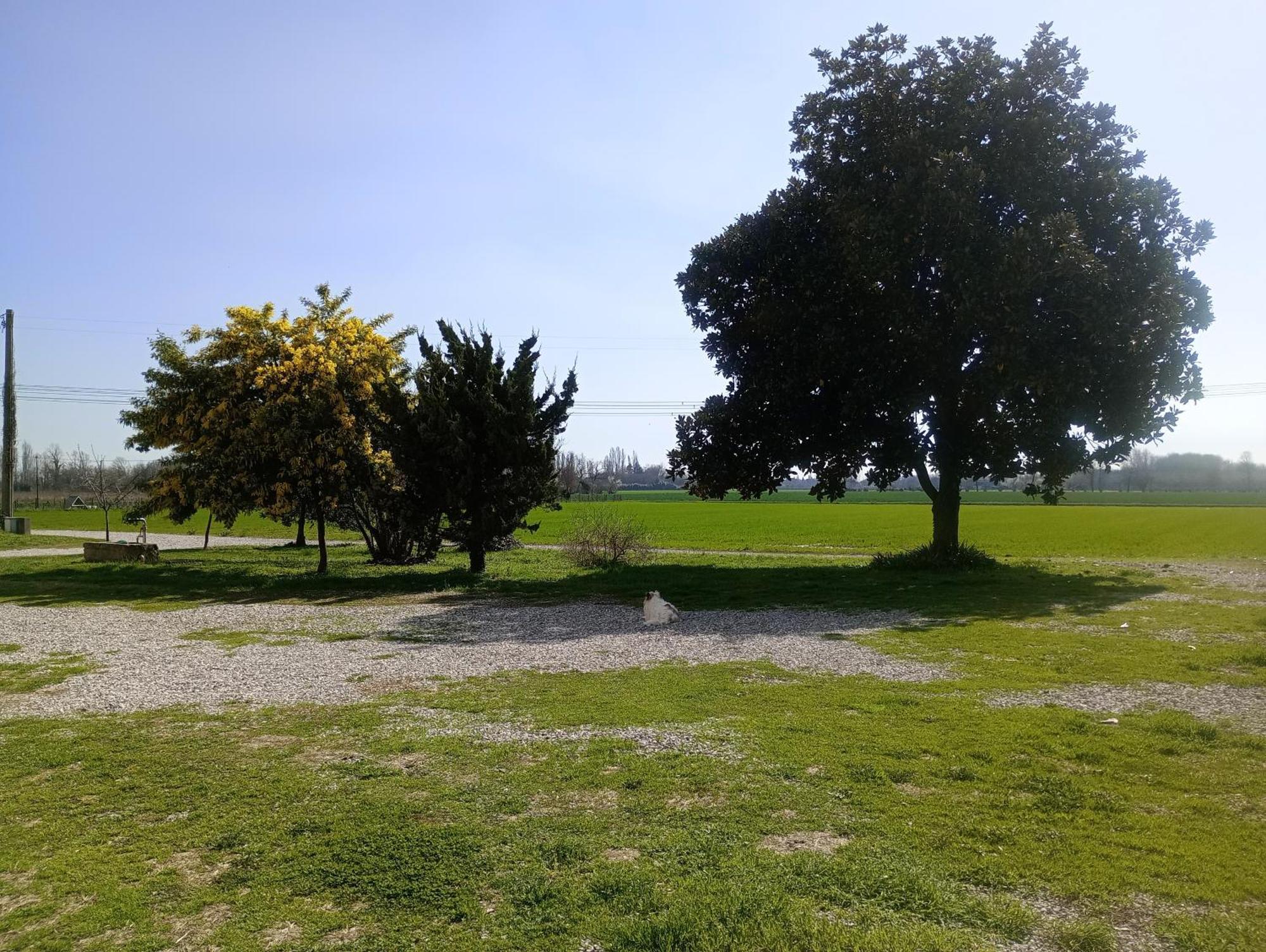 Agriturismo Trabucco Casale Sul Sile Esterno foto
