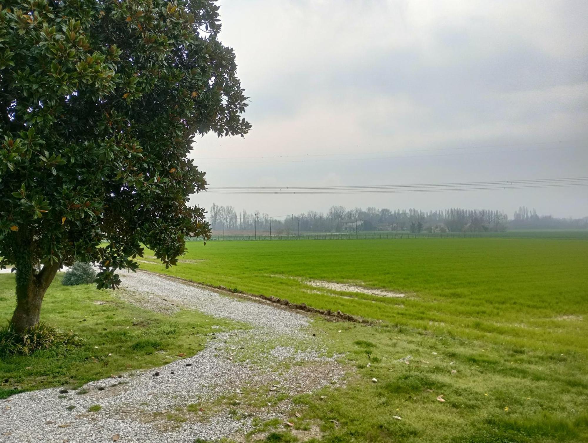Agriturismo Trabucco Casale Sul Sile Esterno foto